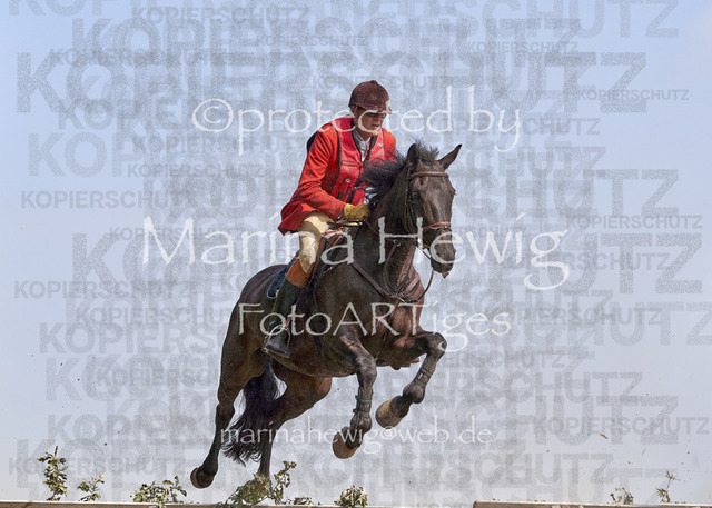 09-23 Jagd Perdöl_MCH0119_Marina Hewig | Fotografie, FotoArt, PferdesportArt, Pferdesportfotografie, Landschaftsfotografie, Reisefotografie, Reise, Pferde - Realisiert mit Pictrs.com