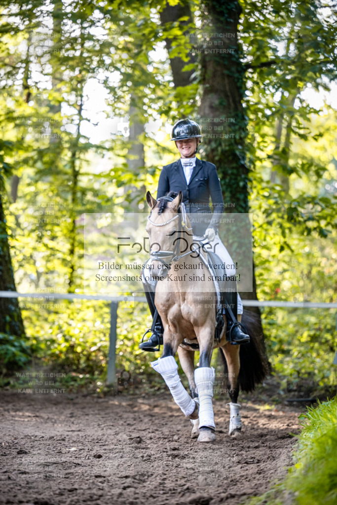 2026-10-Helle-14-0026 | Entdecke hochwertige Reitturnierfotos von Foto Oger. Professionell, emotional und authentisch – jetzt Lieblingsmomente im Shop bestellen.Deutschlandweite Turnierfotografie. - Realisiert mit Pictrs.com