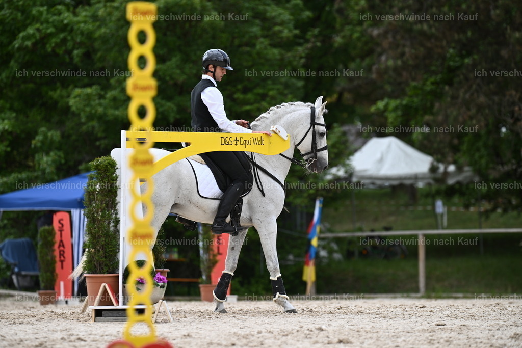 PI26_ST_Sara_Landvogt226_2868.JPG | working equitationturnier fotograf videograf stoibphotography marixx film working equitation deutschland reitsport turnierfotografie eventfotografie equestrian events