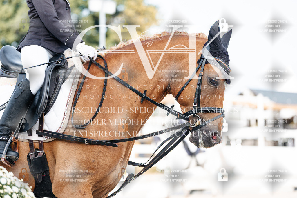 CK903709 | Turnierfotografie Pferdefotografie Trier Rheinland-Pfalz Pferdesport Reitsport Tierfotografie Sportfotografie Pferdevideo Pferdevideografie Equestrianvideography equestrianphotography  - Realisiert mit Pictrs.com