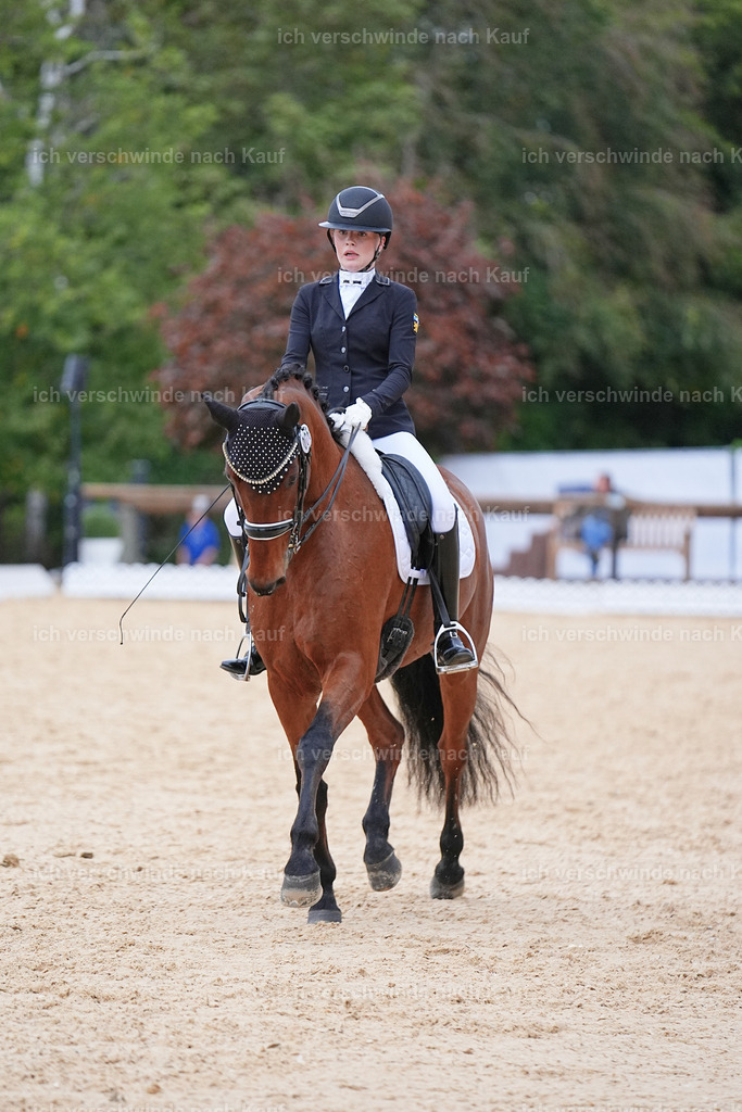 04_2-006-Dressur M__ -Marixx-3079 | working equitationturnier fotograf videograf stoibphotography marixx film working equitation deutschland reitsport turnierfotografie eventfotografie equestrian events