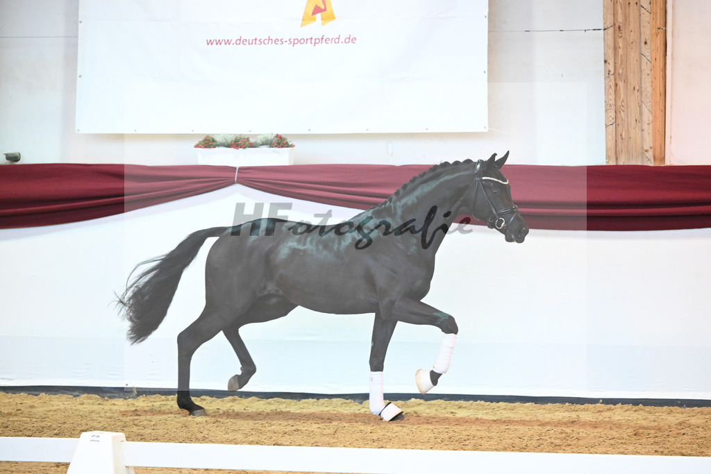 Kat-Nr. 8 v. Bon Courage_Maier_66220154 | hf-fotografie - Realisiert mit Pictrs.com