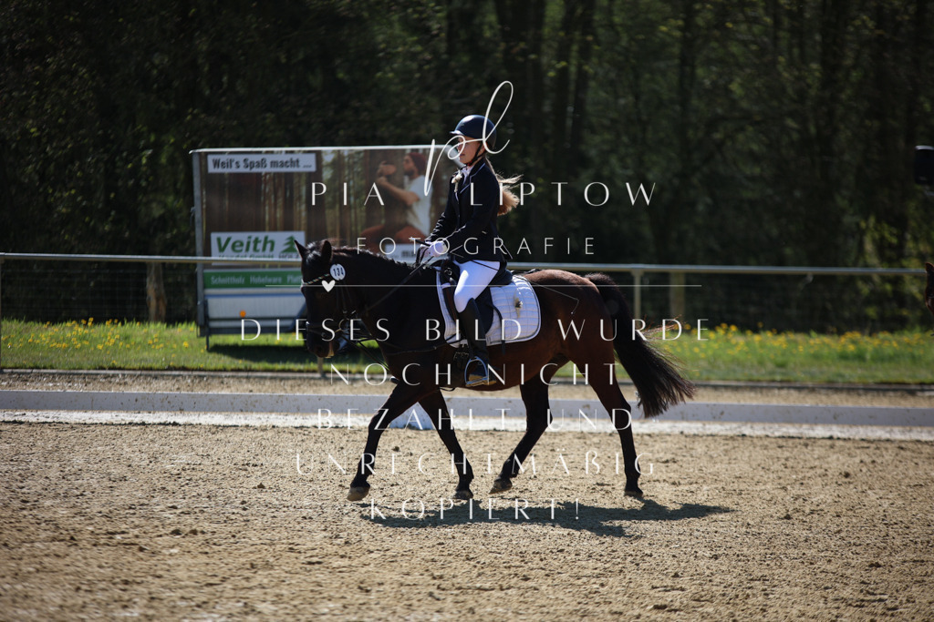 IMGT0190 | pl-fotografie