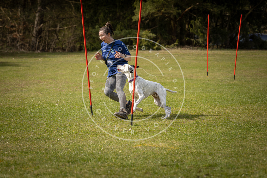 Pfotenfotografie_DV3A0048 | Hundefotografie, Tierfotograf, Pfotenfotografie, Fotoshooting Hund, Hunde Portrait, Hundesport, Hundeportraits, Heideshooting, Hunde, Sportfotograf, Hundefotograf, Turnierhundsport, THS,  - Realisiert mit Pictrs.com