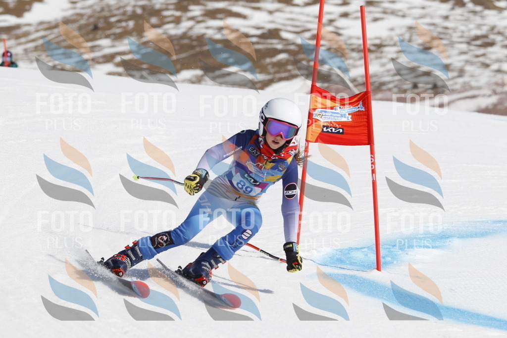 _U3G0142 | holidayphoto