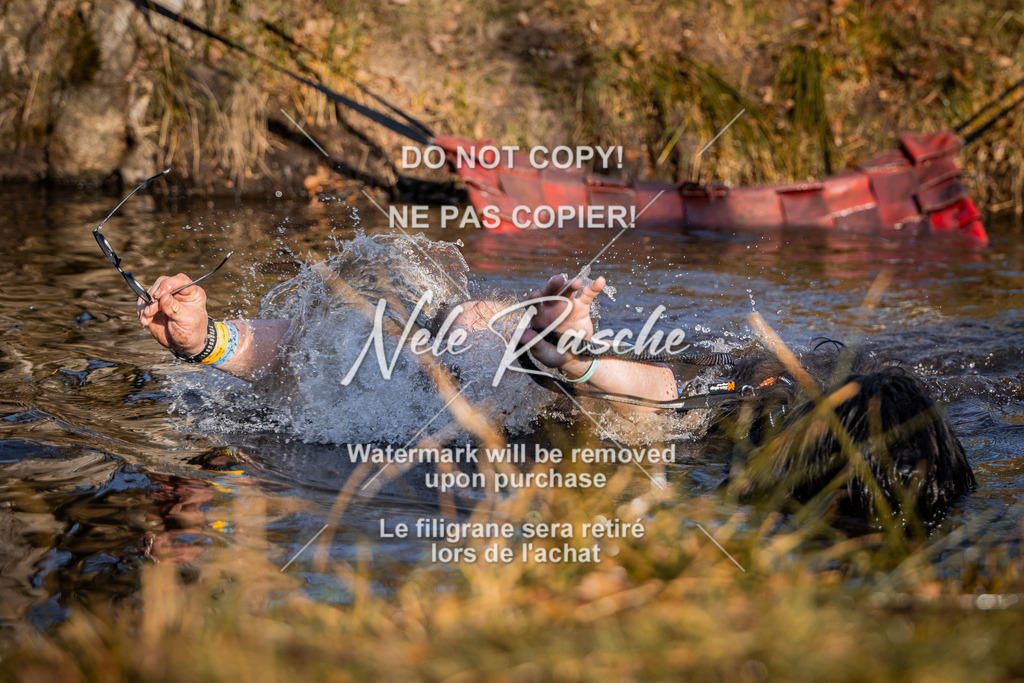 nelerasche_FS0900-1000_65 | nelerasche