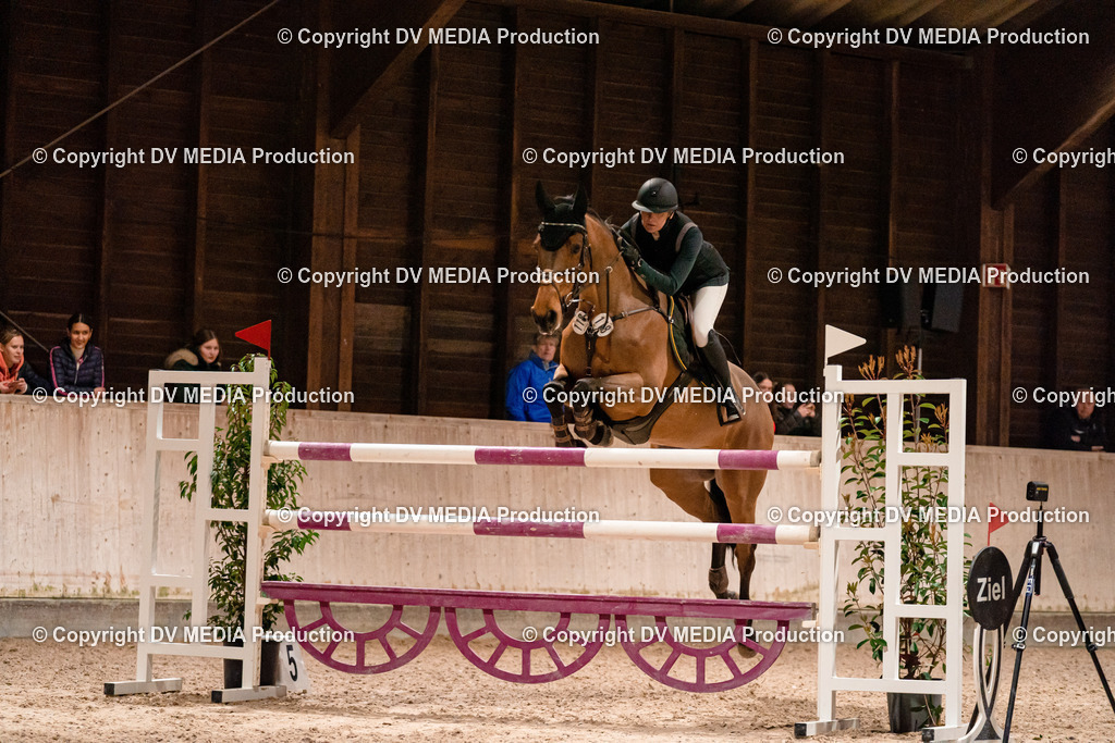 Springen Tag 2-865 | dv-media-shop - Realisiert mit Pictrs.com