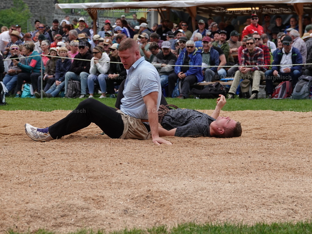 DSC07139 | Schwingen - Realisiert mit Pictrs.com