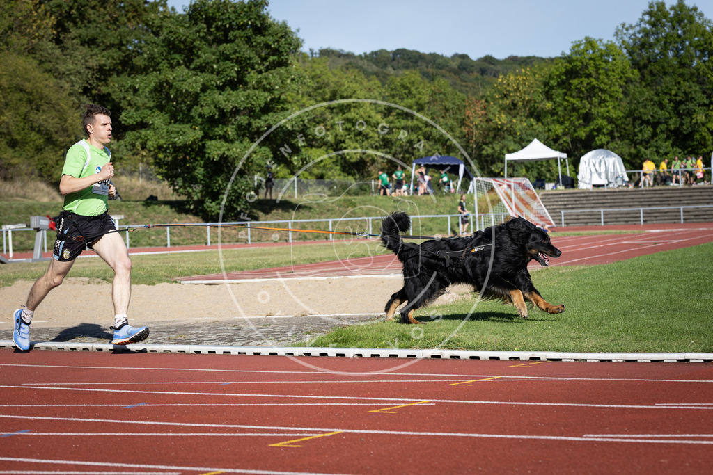 Pfotenfotografie_DV3A8911 | Hundefotografie, Tierfotograf, Pfotenfotografie, Fotoshooting Hund, Hunde Portrait, Hundesport, Hundeportraits, Heideshooting, Hunde, Sportfotograf, Hundefotograf, Turnierhundsport, THS,  - Realisiert mit Pictrs.com