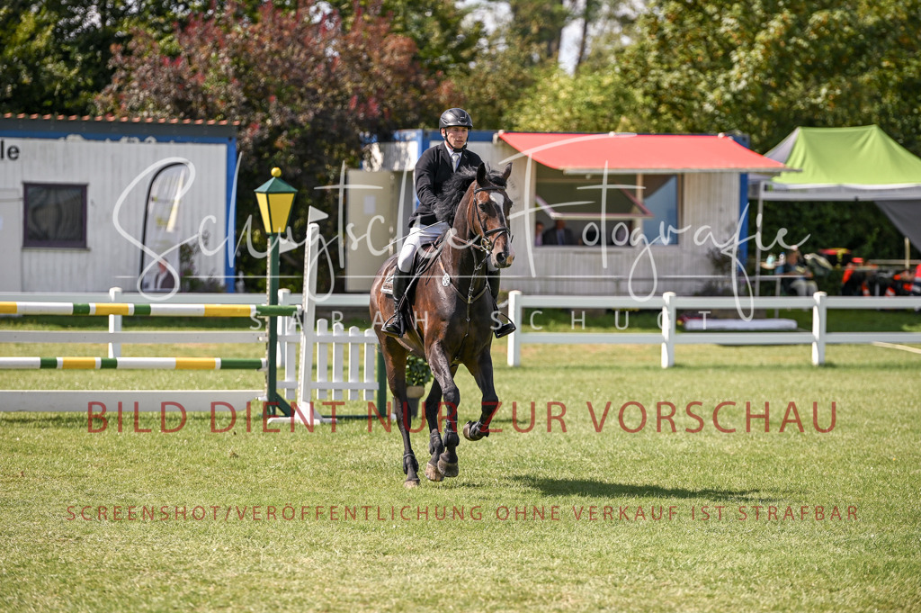 Schugtsche-Düren.2024-09.Springprf.L-151 | Schugtsche Fotografie - Realisiert mit Pictrs.com