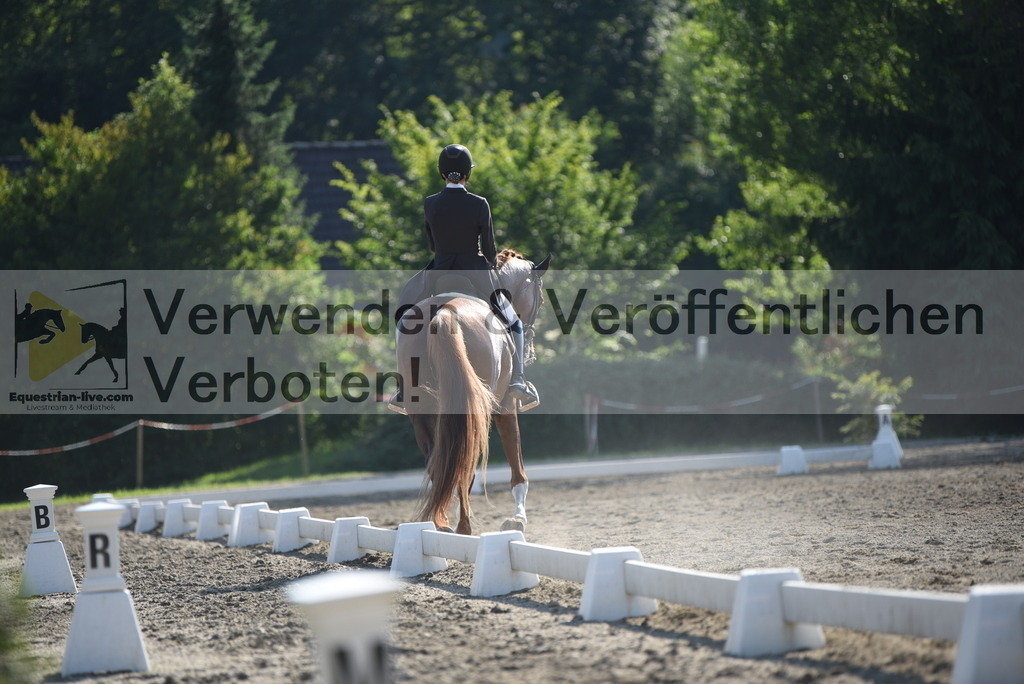 DSC_2781 | equestrian-live-com