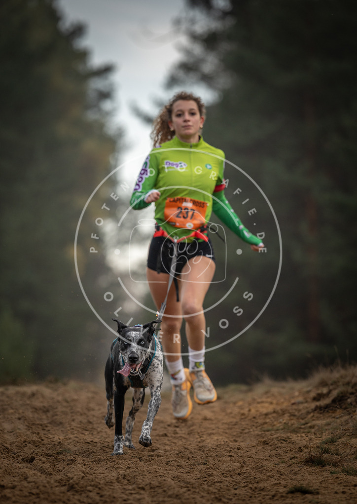 Pfotenfotografie_DV3A5592 | Hundefotografie, Tierfotograf, Pfotenfotografie, Fotoshooting Hund, Hunde Portrait, Hundesport, Hundeportraits, Heideshooting, Hunde, Sportfotograf, Hundefotograf, Turnierhundsport, THS,  - Realisiert mit Pictrs.com