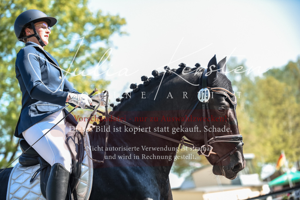 DSC_8479 | Pferde- und Turnierfotografie in Westsachsen. Pferdeportraits, Auftragszeichnungen und intuitive Kunst.