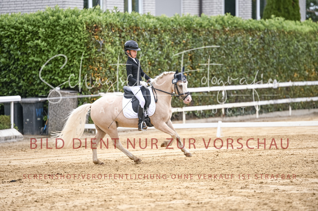 Schugtsche-Aluta25-42.EDressur -389 | Schugtsche Fotografie - Realisiert mit Pictrs.com