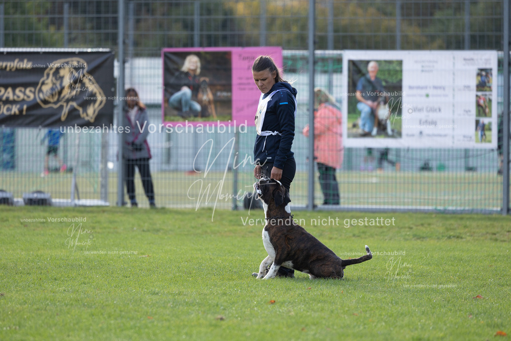 _16A6485 | Einzigartige Fotos von Hunden & Menschen –Actionfotos, Portraits, Vereinsaufnahmen & Paarshootings – authentisch, lebendig & mit Herz.