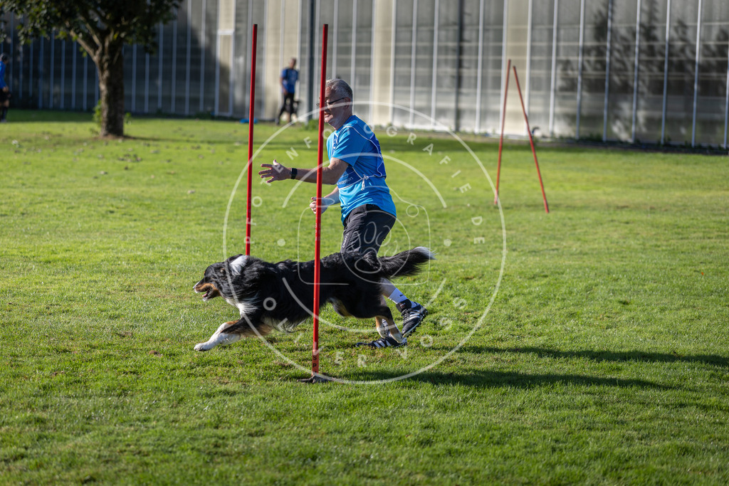 Pfotenfotografie.de_DV3A3299 | Hundefotografie, Tierfotograf, Pfotenfotografie, Fotoshooting Hund, Hunde Portrait, Hundesport, Hundeportraits, Heideshooting, Hunde, Sportfotograf, Hundefotograf, Turnierhundsport, THS, canicross - Realisiert mit Pictrs.com