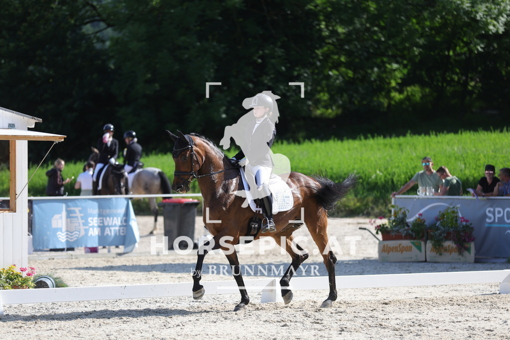 0P6A2768 | Willkommen bei Brunnmayr - Design & Fotografie – Ihrem Spezialisten für Reitturniere und Pferdeveranstaltungen in Oberösterreich, Salzburg und Bayern! Seit über 17 Jahren sind wir leidenschaftlich dabei.