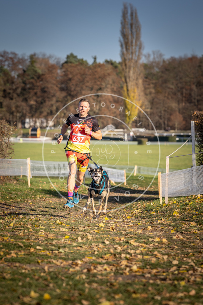 CaniXpix_DV3A0237 | Hundefotografie, Tierfotograf, Pfotenfotografie, Fotoshooting Hund, Hunde Portrait, Hundesport, Hundeportraits, Heideshooting, Hunde, Sportfotograf, Hundefotograf, Turnierhundsport, THS,  - Realisiert mit Pictrs.com