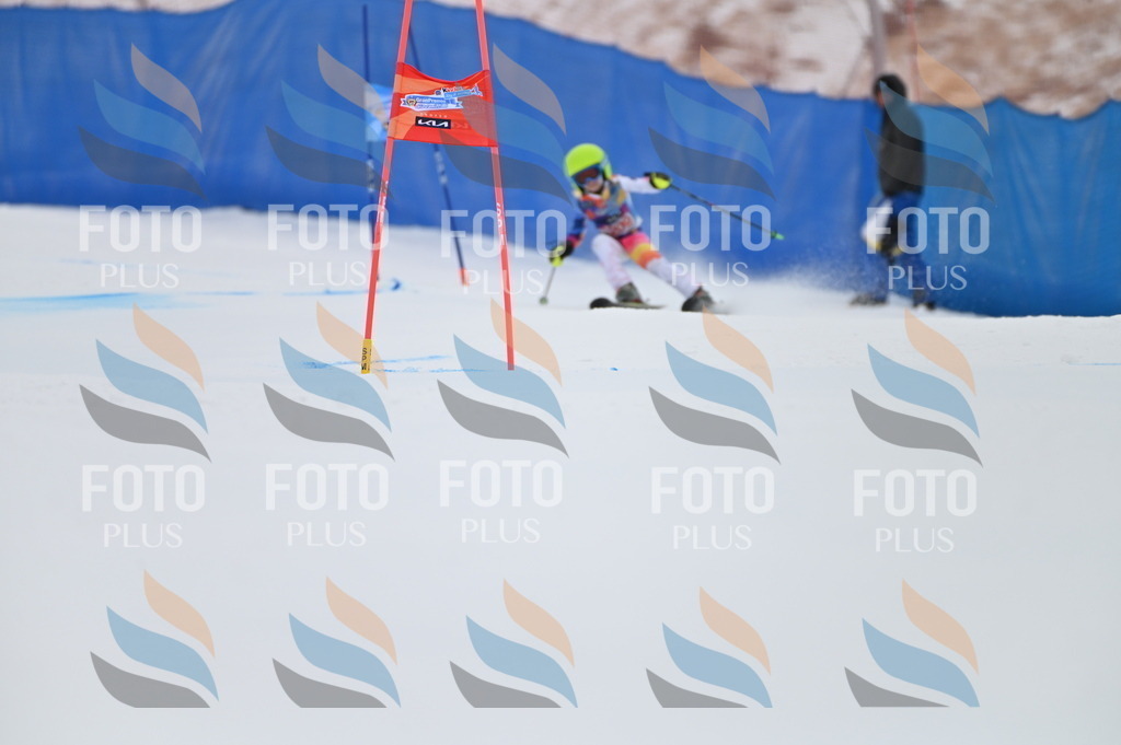 BGV_2315 | holidayphoto