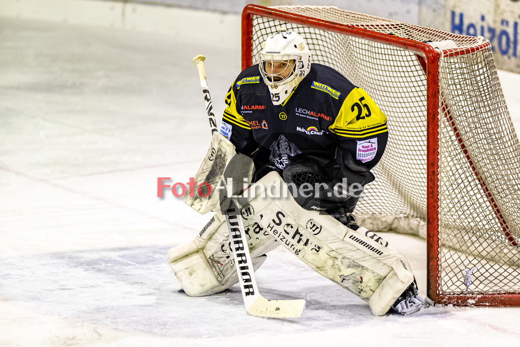 C1DX2399 | Shop für Sportfotografie, Bilddatenbank, Pressefotografie, Fußball, Eishockey, Aktionsfotos
