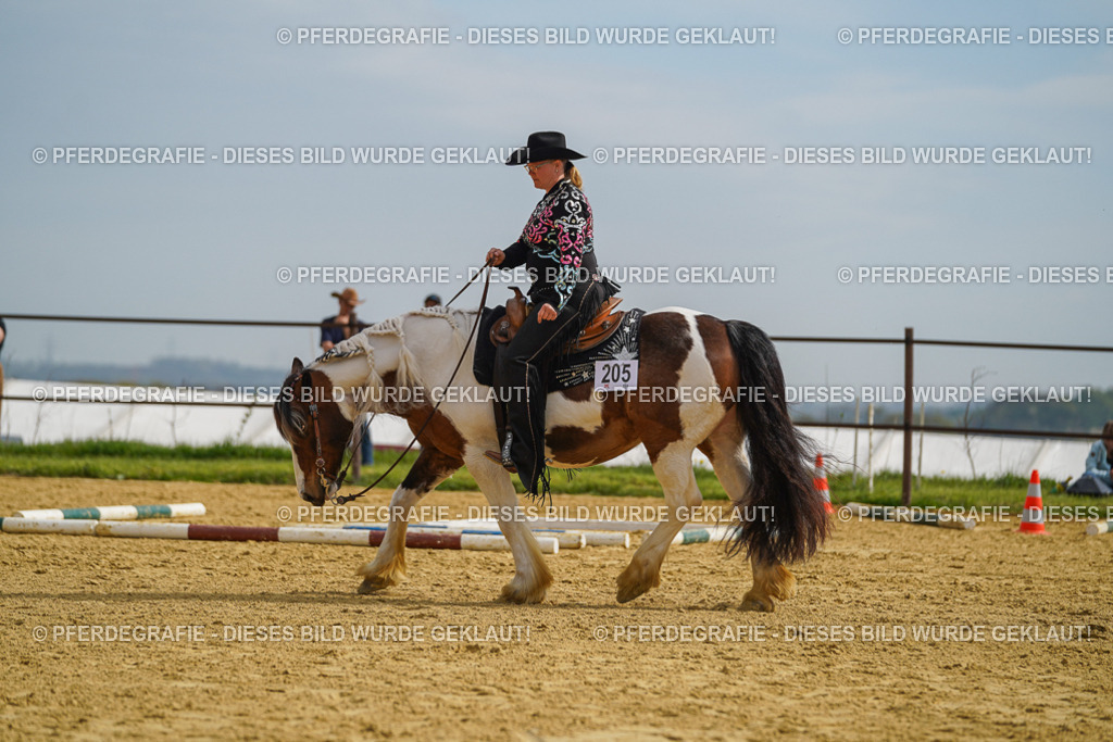 DSC02149 | Pferdegrafie