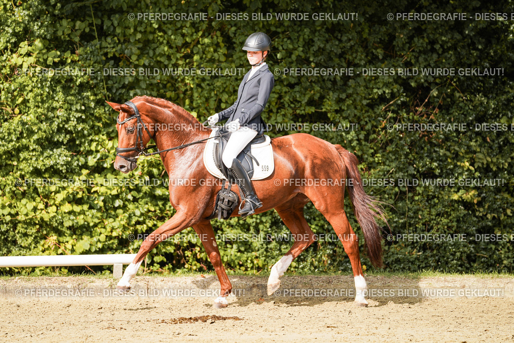 DSC03315 | Pferdegrafie