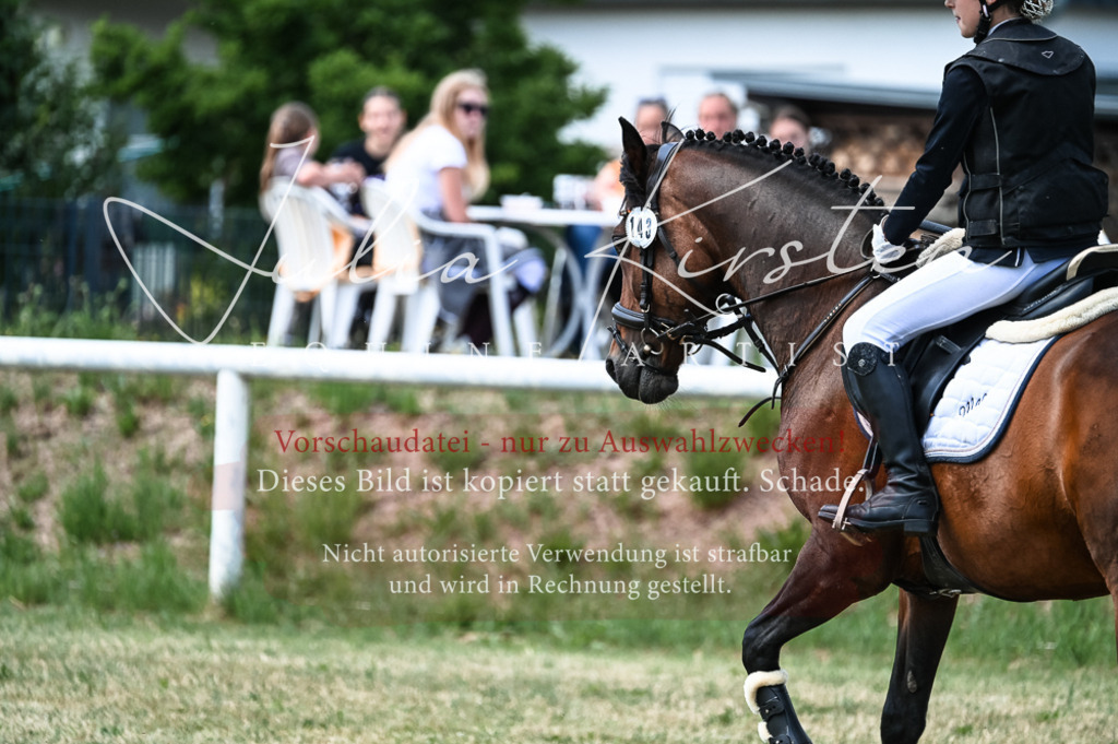 DSC_9636 | Pferde- und Turnierfotografie in Westsachsen. Pferdeportraits, Auftragszeichnungen und intuitive Kunst.