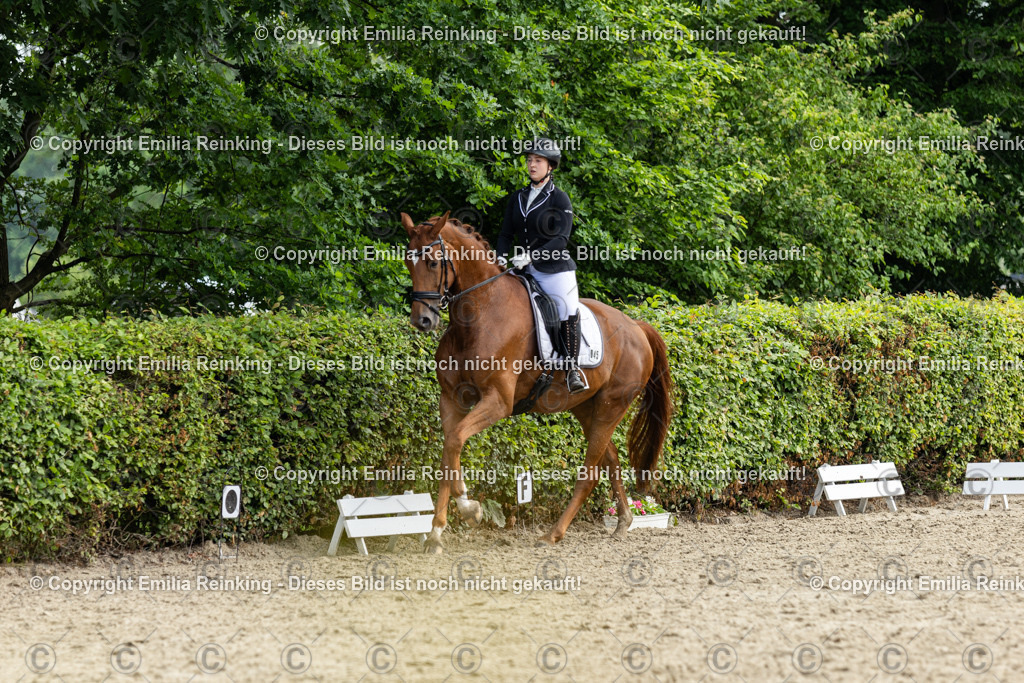 CL5A5114 | Emilia Reinking Fotografie - Realisiert mit Pictrs.com