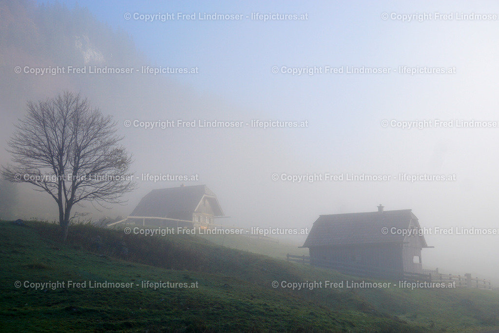 Schoeneben_Proles_Koenigskogel_Duerriegelalm_DSC09258 | Fotos und Fotoprodukte - Realisiert mit Pictrs.com