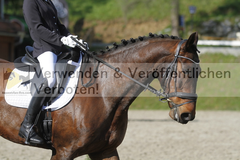 _MG_9168 | equestrian-live-com