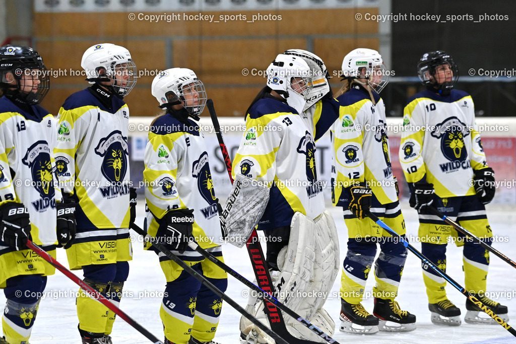 Wildcats Paternion vs. Lady Hawks  | Wildcats Paternion Mannschaft, Wildcats Paternion vs. Lady Hawks , Wildcats Paternion vs. Lady Hawks  am 27.01.2025 in Spittal an der Drau (Eissportzentrum Spittal), Austria, (Photo by Bernd Stefan)