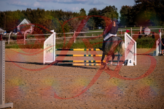 2026_10_03_Siefer-Hof_171404_Z81_11218260 | Professionelle Reitsport-, Turnier- und Eventfotografie von Robert Broda. Galerien mit ausgewählten und bearbeiteten Bildern direkt online ansehen und bestellen.
