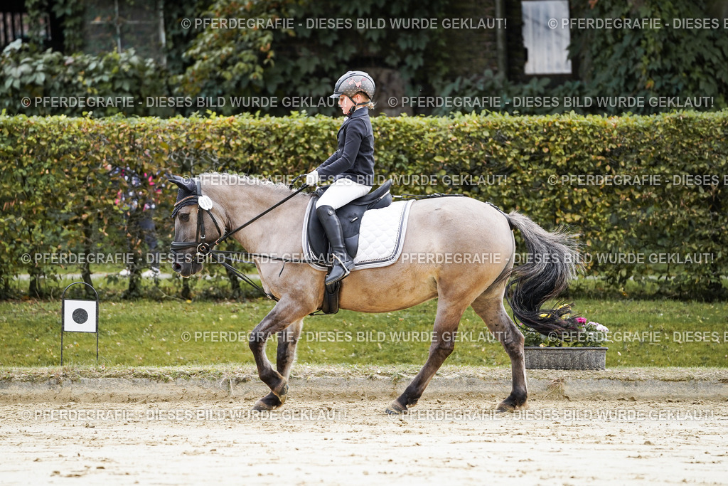 DSC05517 | Pferdegrafie