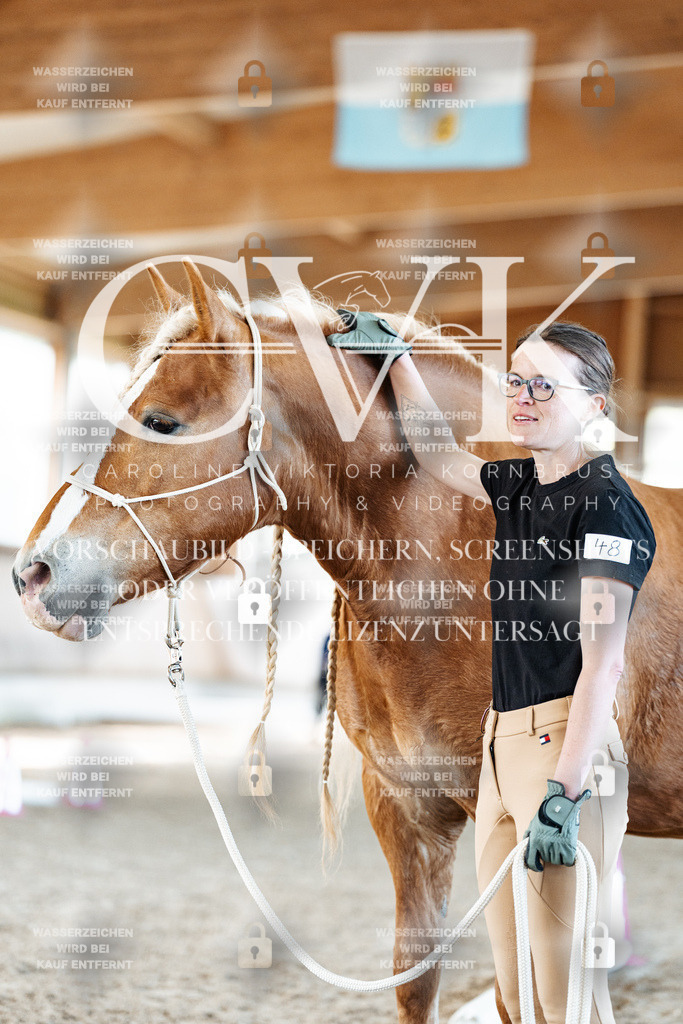 CK905964 | Turnierfotografie Pferdefotografie Trier Rheinland-Pfalz Pferdesport Reitsport Tierfotografie Sportfotografie Pferdevideo Pferdevideografie Equestrianvideography equestrianphotography  - Realisiert mit Pictrs.com