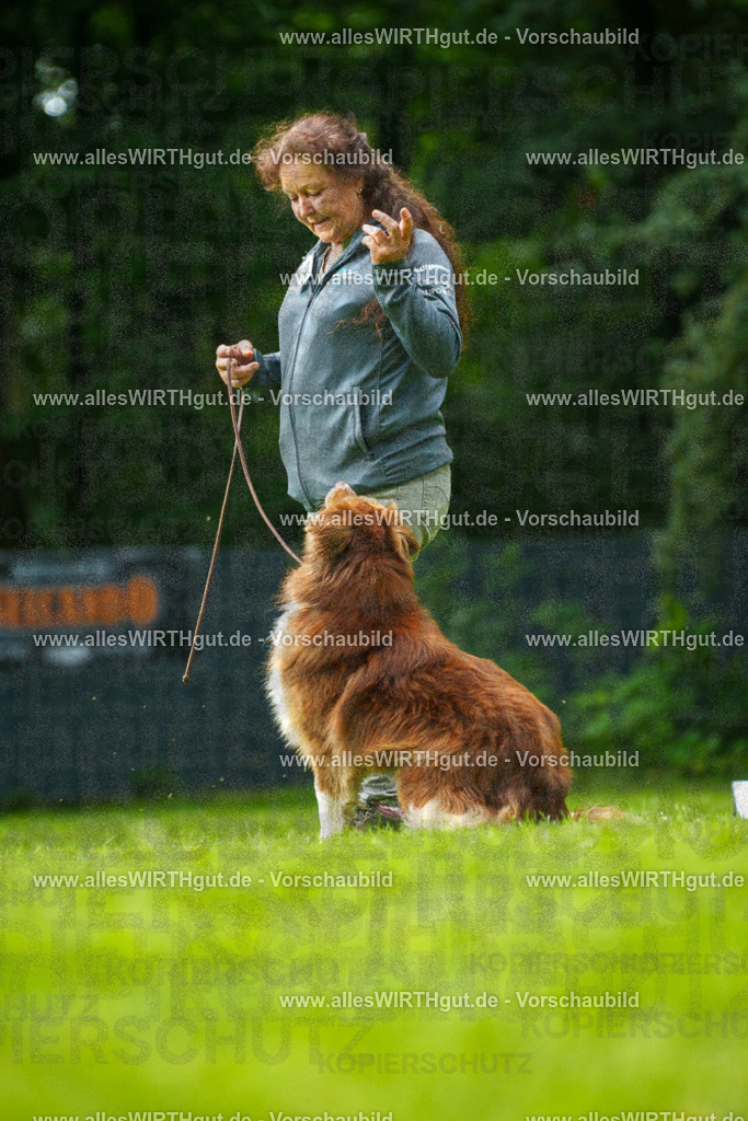 @allesWIRTHgut_Tierfotografie - www.allesWIRTHgut.de - 7R505145 | Professionelle Tierfotografie in Mönchengladbach von Daniel Wirth (allesWIRTHgut). Liebevolle & natürliche Bilder von Hunden & Katzen für unvergessliche Erinnerungen.