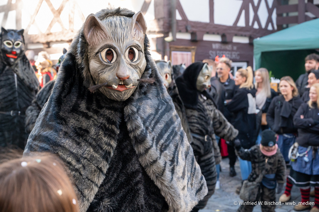 _DSC7292 | <Fotografie> <Video> <Film> <Winfried Bischoff> - Realisiert mit Pictrs.com