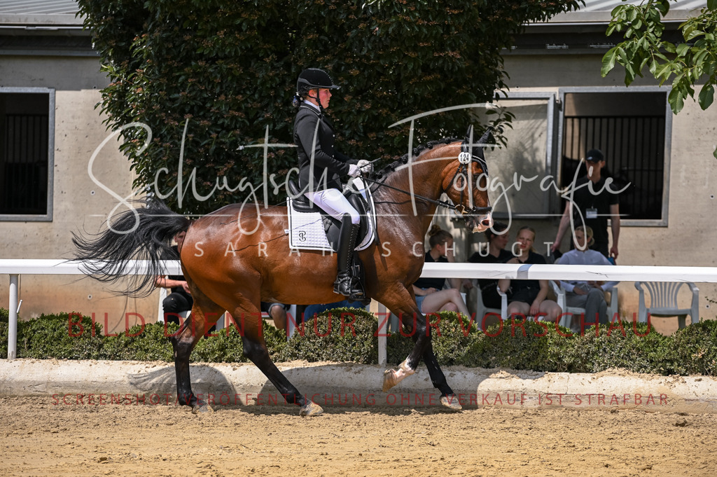 Schugtsche-Aluta25-55.Dressurreiterprf.L1Tr-26 | Schugtsche Fotografie - Realisiert mit Pictrs.com