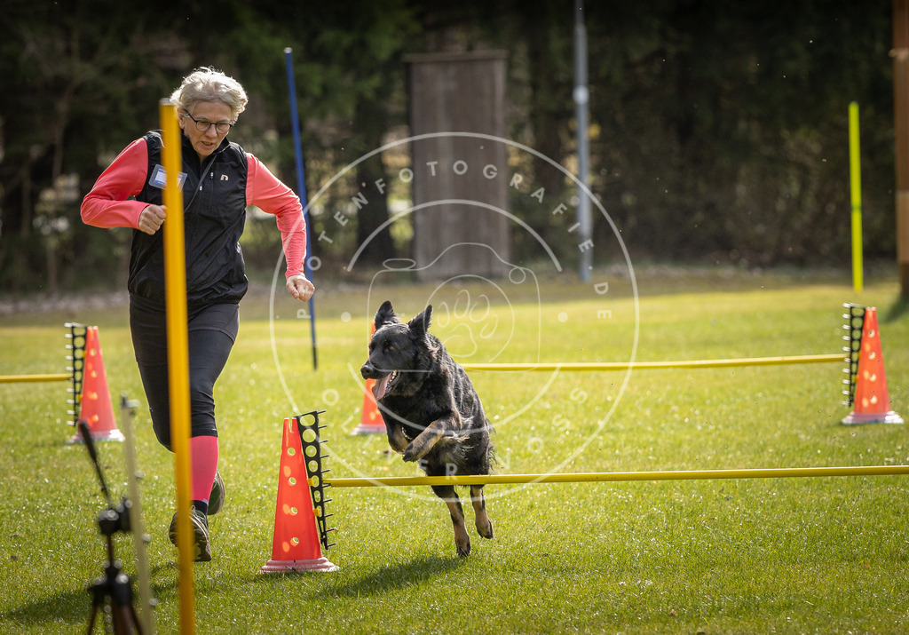 Pfotenfotografie_DV3A9129 | Hundefotografie, Tierfotograf, Pfotenfotografie, Fotoshooting Hund, Hunde Portrait, Hundesport, Hundeportraits, Heideshooting, Hunde, Sportfotograf, Hundefotograf, Turnierhundsport, THS,  - Realisiert mit Pictrs.com