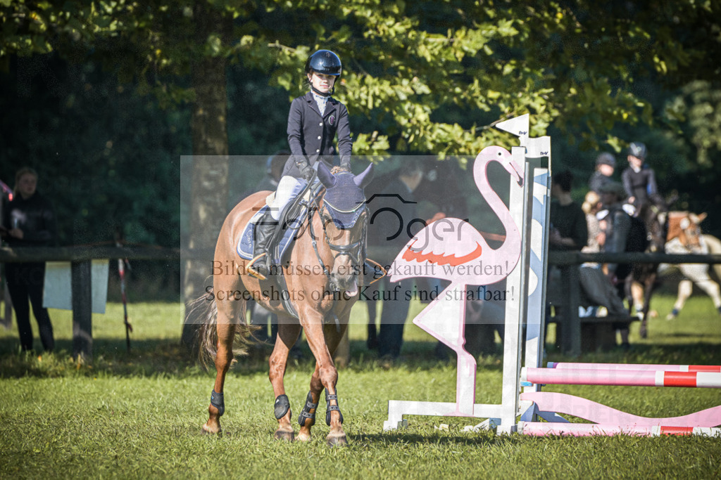 DOS_0401 | Entdecke hochwertige Reitturnierfotos von Foto Oger. Professionell, emotional und authentisch – jetzt Lieblingsmomente im Shop bestellen.Deutschlandweite Turnierfotografie. - Realisiert mit Pictrs.com
