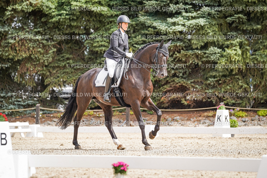 DSC03047 | Pferdegrafie