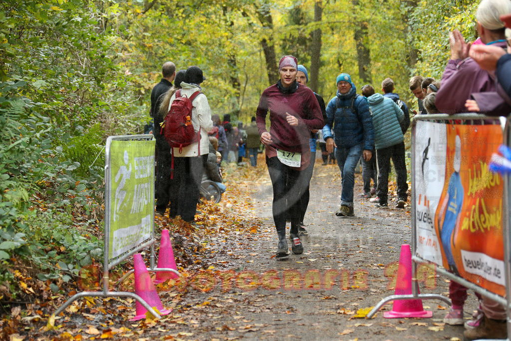 251026_1256_EX1_1993 | Sportfotografie im Rhein-Sieg Kreis, Köln, Bonn, NRW, Rheinland Pfalz, Hessen, etc. Unser Tätigkeitsfeld umfasst den Laufsport vom Volkslauf über den Marathon, Duathlon, Triathon bis zum Ultralauf wie Kölnpfad Ultra oder Schindertrail.