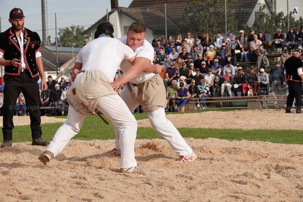 DSC08427 | Schwingen - Realisiert mit Pictrs.com