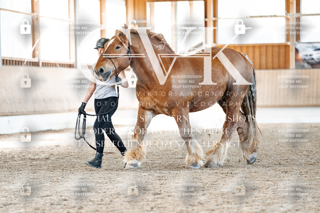 CK906406 | Turnierfotografie Pferdefotografie Trier Rheinland-Pfalz Pferdesport Reitsport Tierfotografie Sportfotografie Pferdevideo Pferdevideografie Equestrianvideography equestrianphotography  - Realisiert mit Pictrs.com