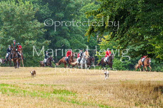 Jagd Kletkamp 26-02848_MarinaHewig | Fotografie, FotoArt, PferdesportArt, Pferdesportfotografie, Landschaftsfotografie, Reisefotografie, Reise, Pferde - Realisiert mit Pictrs.com