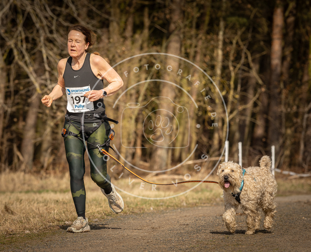 DV3A5446 | Hundefotografie, Tierfotograf, Pfotenfotografie, Fotoshooting Hund, Hunde Portrait, Hundesport, Hundeportraits, Heideshooting, Hunde, Sportfotograf, Hundefotograf, Turnierhundsport, THS,  - Realisiert mit Pictrs.com