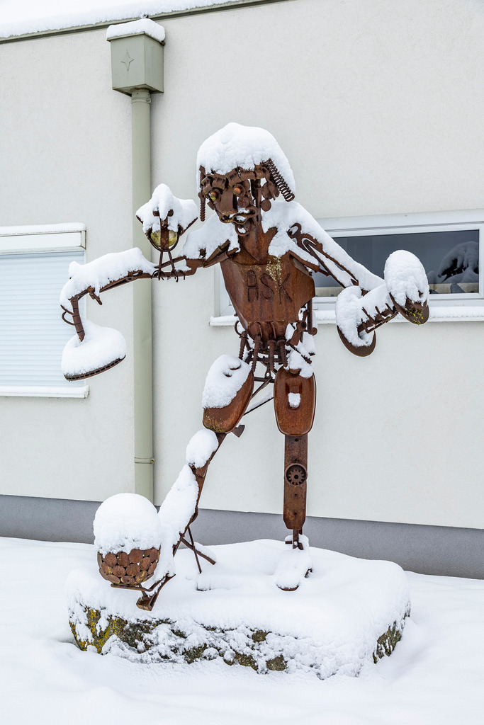 _ 3382_WINTER26_7997 | WInteraufnahmen Loosdorf 2026