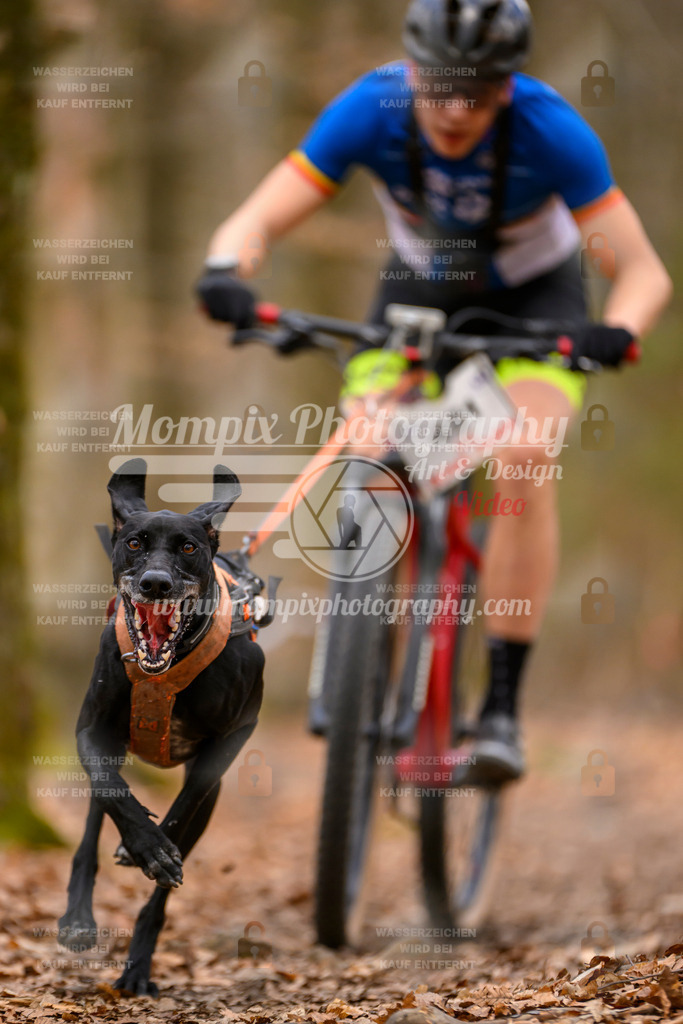 MompixPhotography_Habay2025_SA_Bike-4 | PayLife