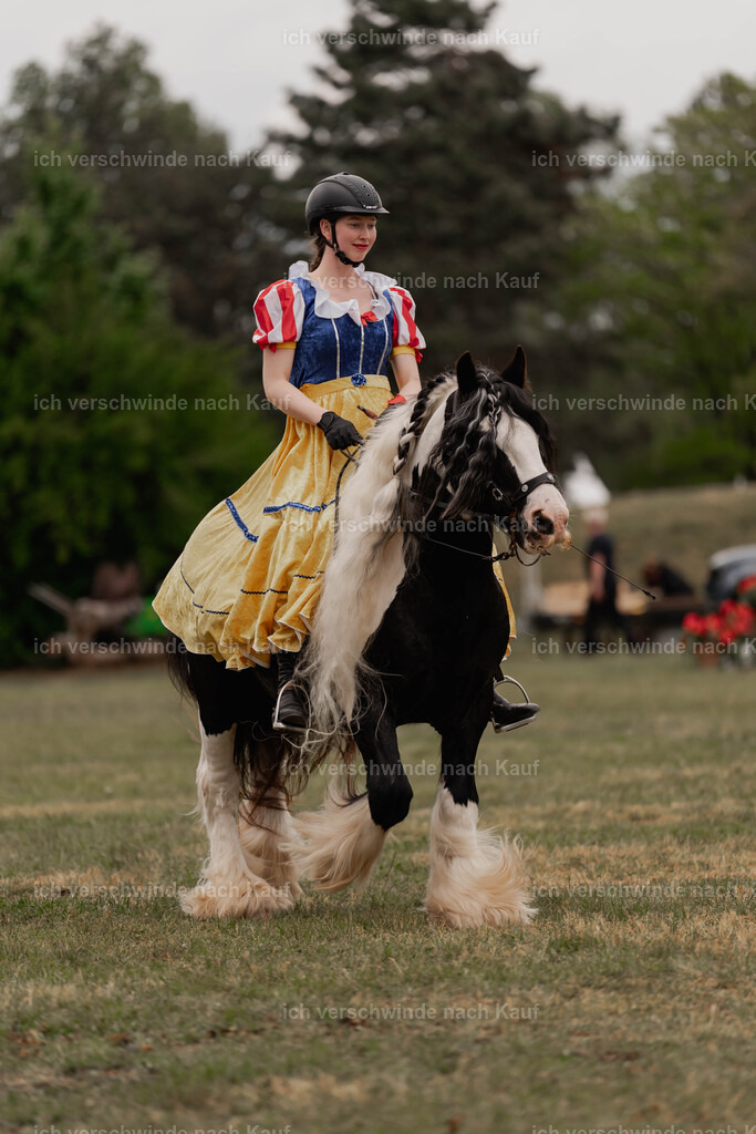 Showprogramm-402 | working equitationturnier fotograf videograf stoibphotography marixx film working equitation deutschland reitsport turnierfotografie eventfotografie equestrian events