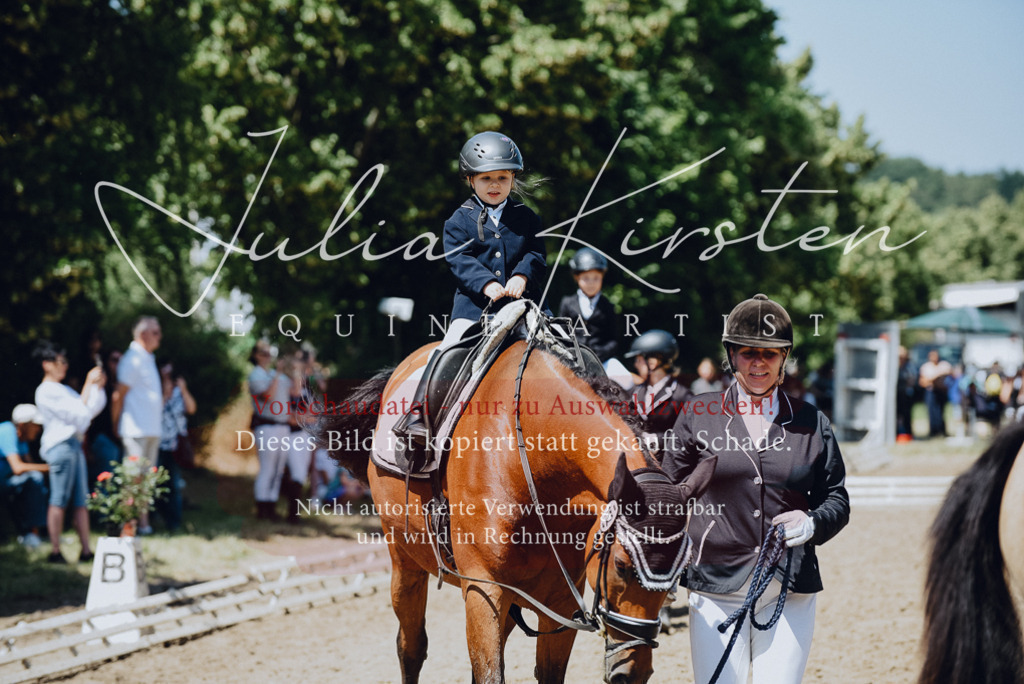 DSC_2446 | Pferde- und Turnierfotografie in Westsachsen. Pferdeportraits, Auftragszeichnungen und intuitive Kunst.
