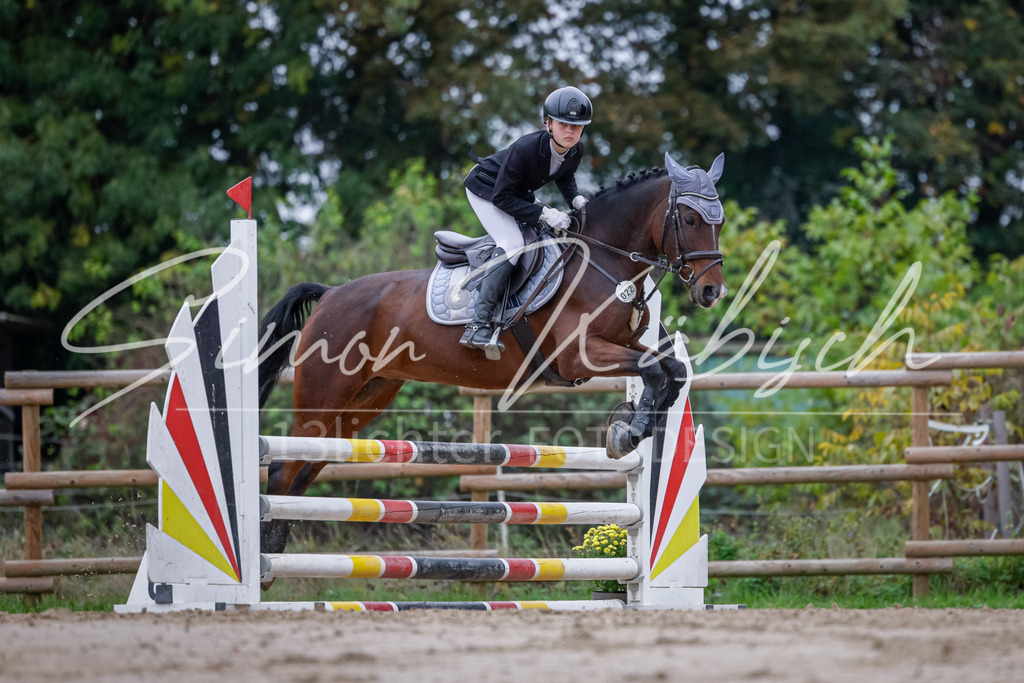 20251012-_3LI3378 | Tierfotografie Pferde, Hunde, Katzen, Haustiere.
Turnierfotografie Reitturniere, Reiten, Springreiten, Dressur in Hanau, dem Main-Kinzig-Kreis und dem Rhein-Main- Gebiet um Frankfurt